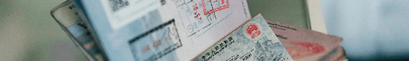 16233c50-6500-44e5-92c7-9c30ca4ad685-длявизы.png